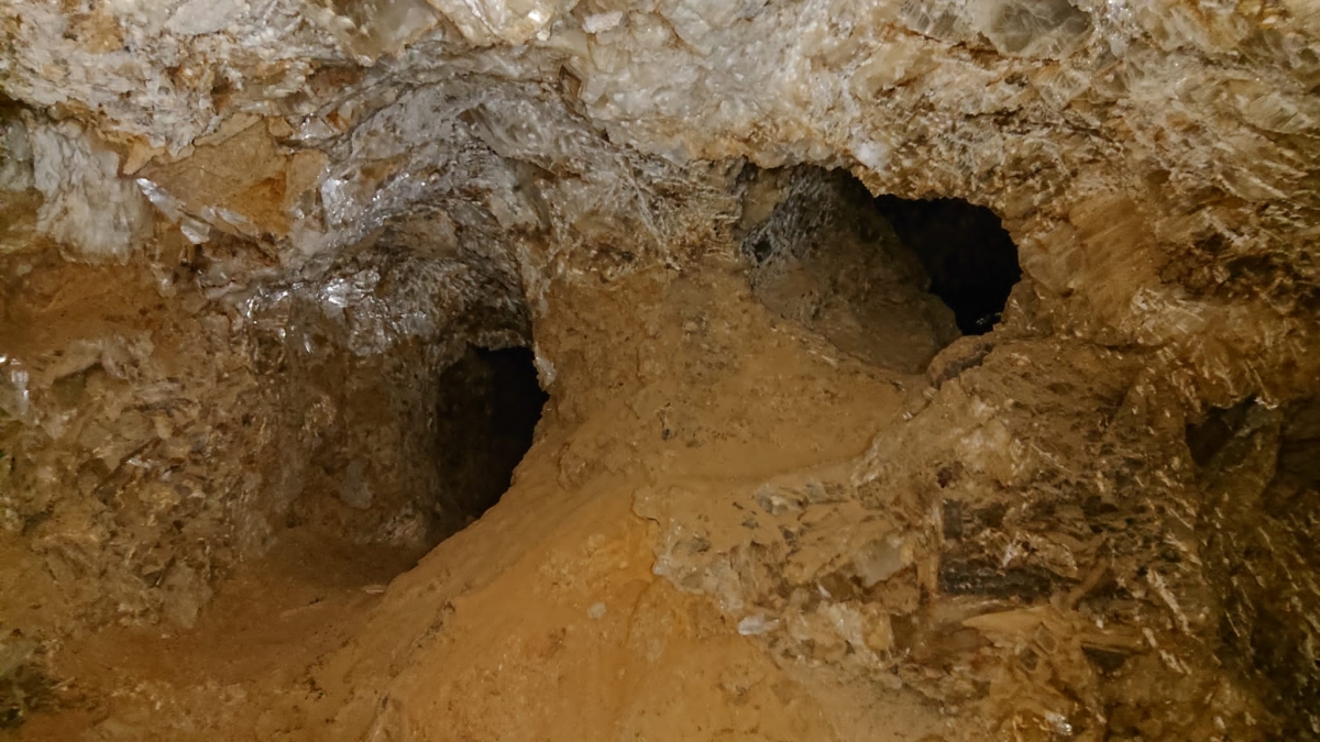 El día que los huertanos creyeron ser ricos por un tiempo