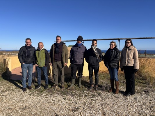 Xàbia implanta el pastoreo ecológico con cabras como prueba piloto para prevenir incendios forestales en el Montgó