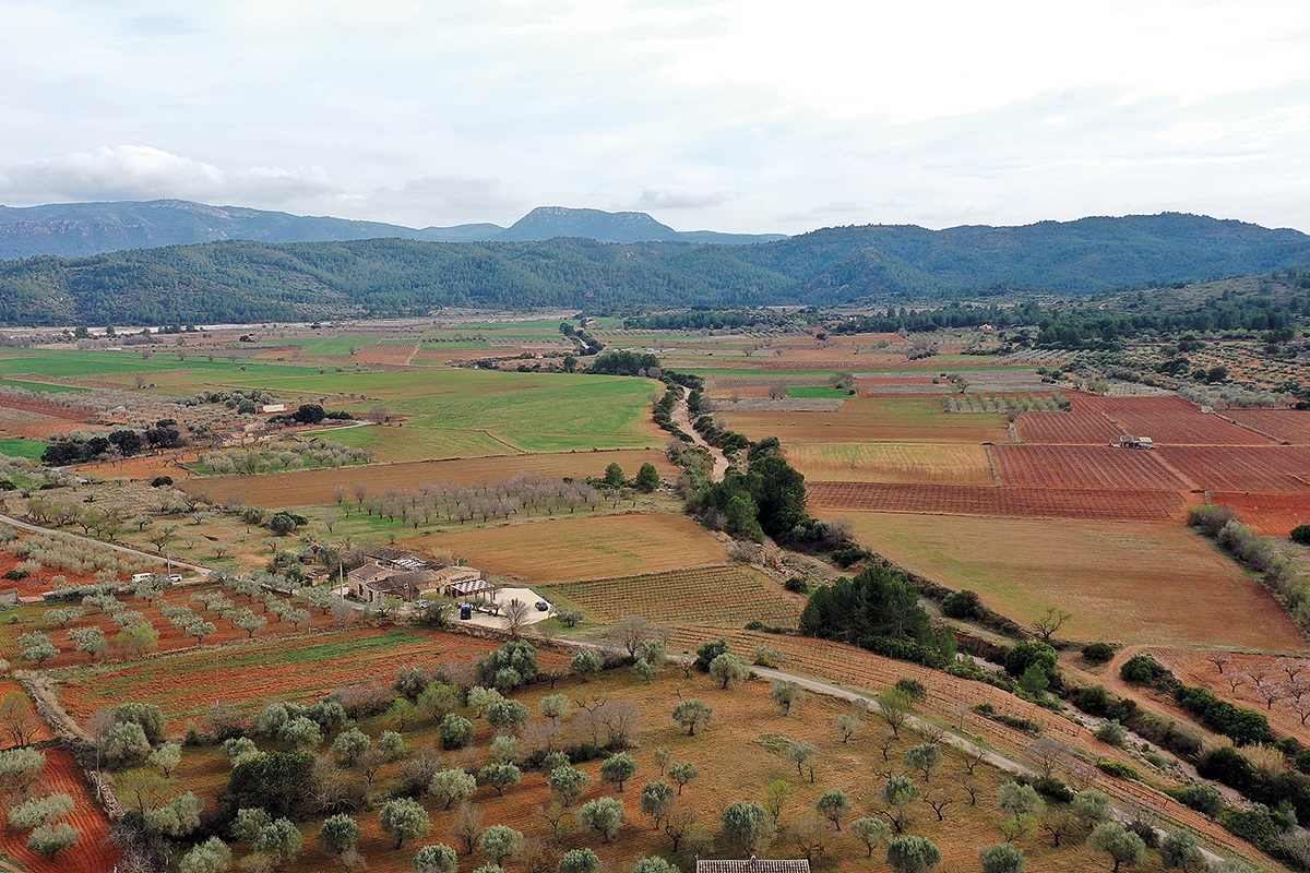 El valor de una tierra que transformó la adversidad en vino