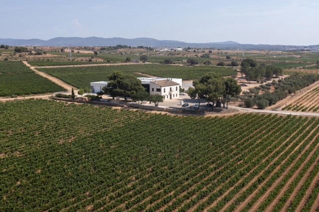 Bodegas Hispano Suizas vuelve a ser la bodega más premiada de España por AEPEV