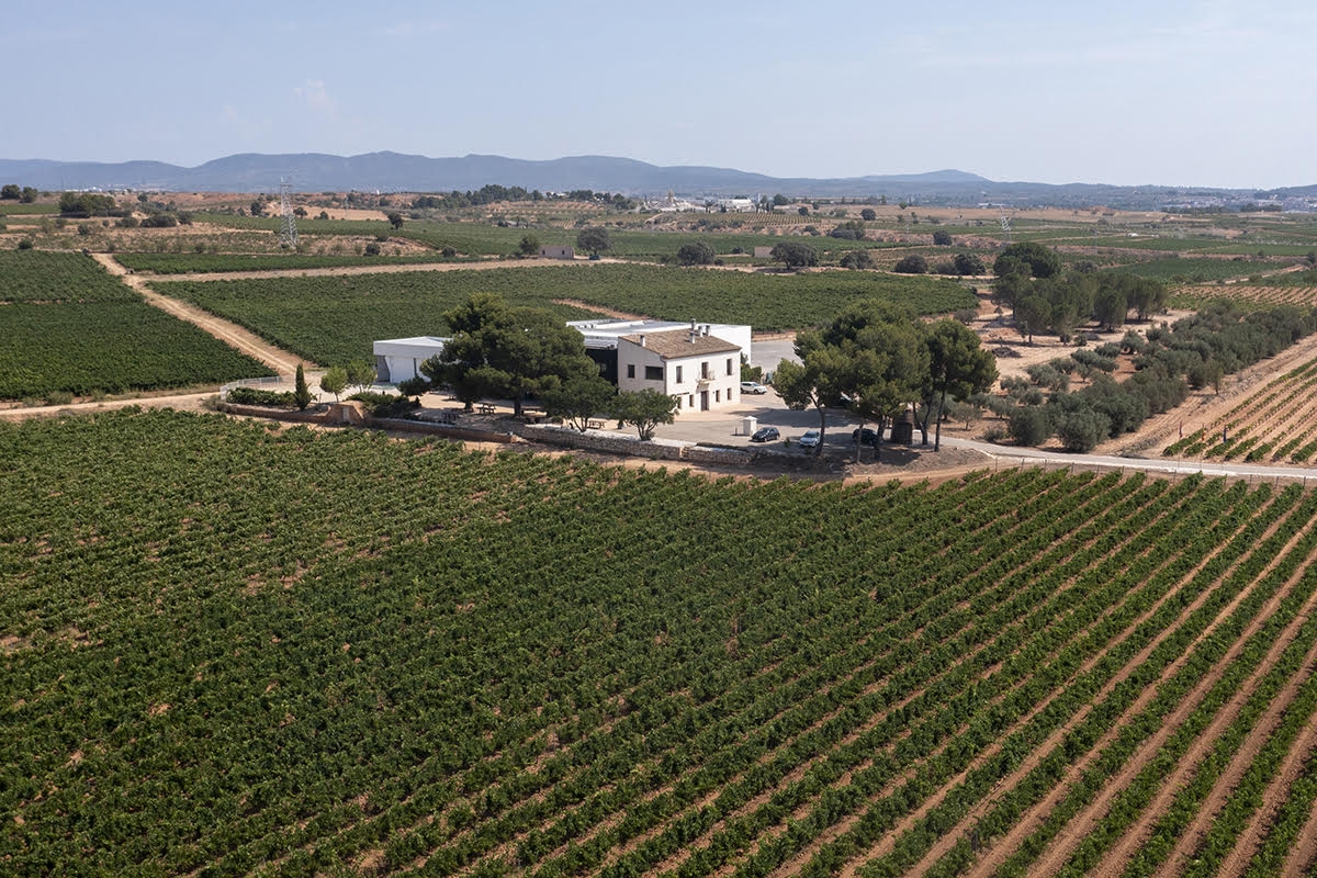Bodegas Hispano Suizas vuelve a ser la bodega más premiada de España por AEPEV