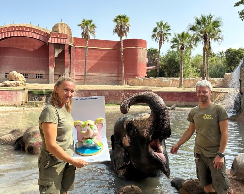 La hoguera La Ceràmica le entrega un 'ninot' de la elefanta Petita a Terra Natura Benidorm

