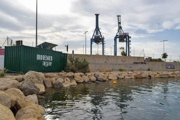 Instalación de Bioremed Algae en el Puerto de Alicante. - Foto: PLAZA Instalación de Bioremed Algae en el Puerto de Alicante.