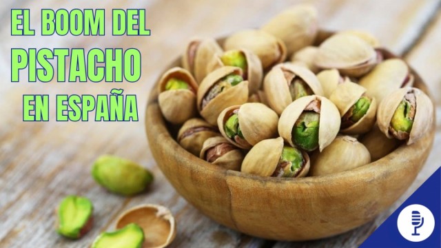 El boom del pistacho en España