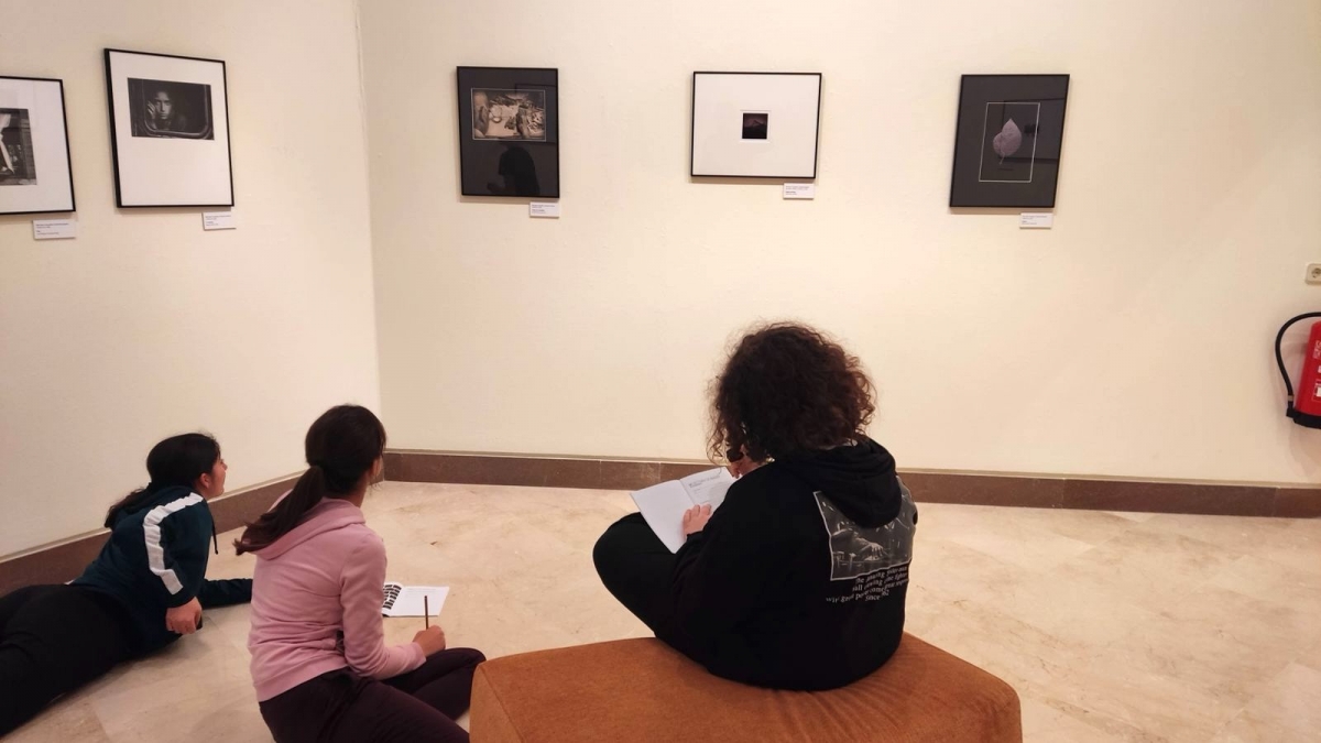 ¿Sabemos mirar? Un taller y un cuaderno para aprender a leer imágenes en la era de las pantallas