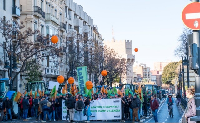 El pacto de Mercorsur en la Comunitat: golpe al arroz y la naranja y riesgo de importaciones con sustancias prohibidas