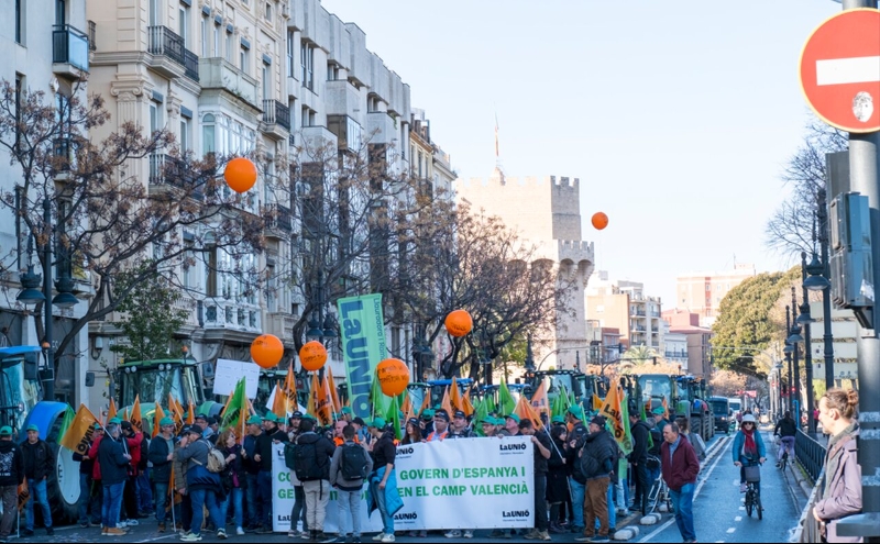 Las organizaciones agrarias advierten que el acuerdo del Mercosur desprotegerá a los cítricos