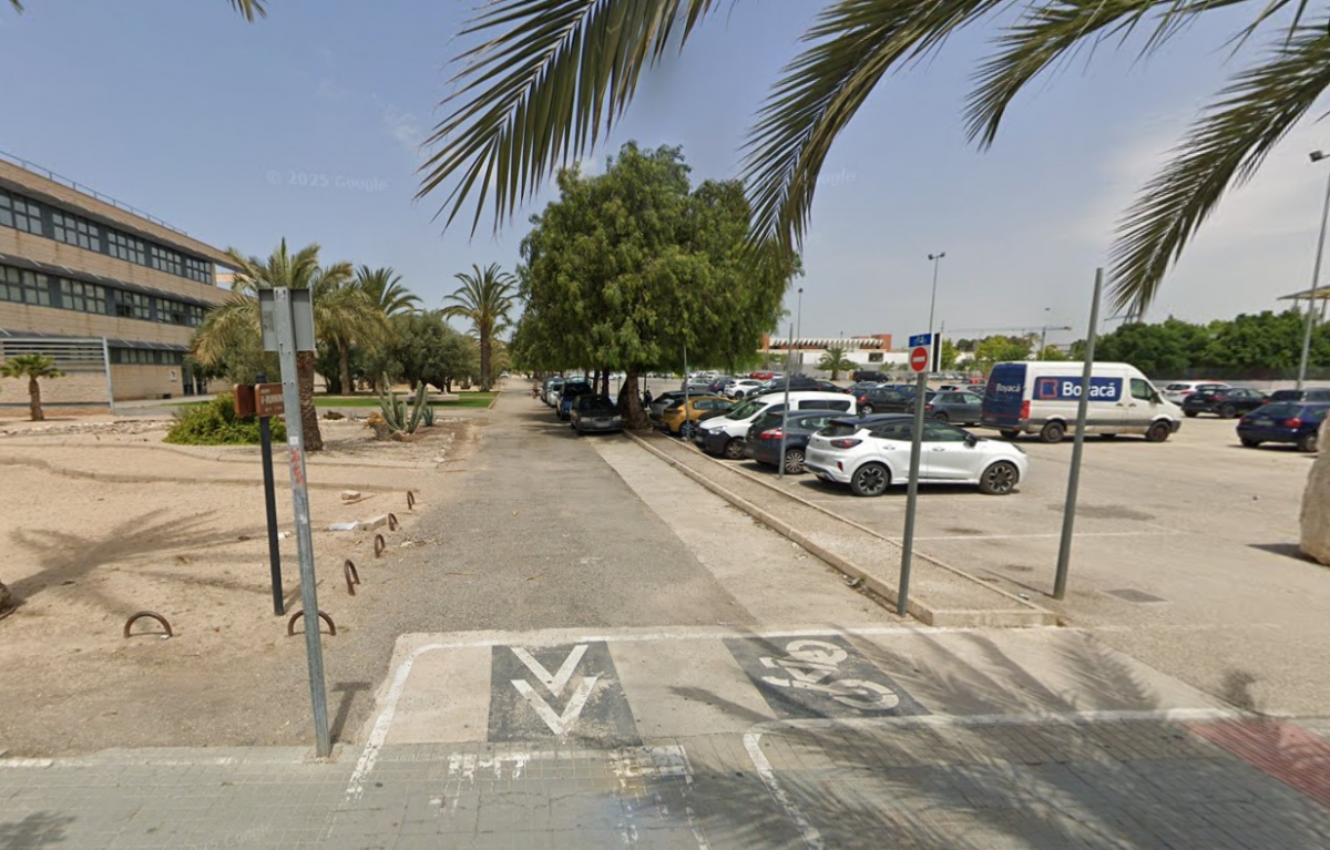 La UMH empieza 2026 en Elche renovando parte de su ajardinamiento frontal en su entrada