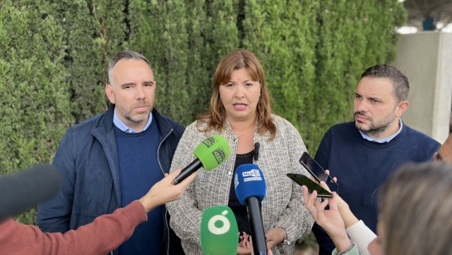 El PSPV critica que Carrasco 