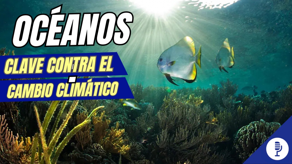 Océanos: clave contra el cambio climático