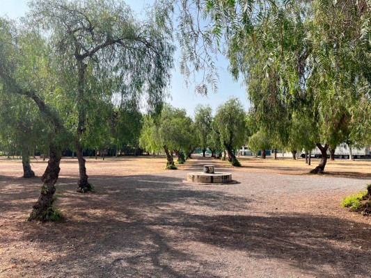 Entra en fase de valoración el contrato para la restauración paisajística de la Gerencia de Puerto de Sagunto