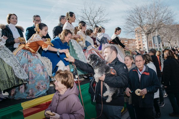 Castelló prepara la fiesta Sant Antoni: el recorrido será circular y tendrá inicio y final en el IES La Plana