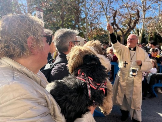 De la bendición de animales al Mercado Medieval: así celebra Murcia las fiestas de San Antón