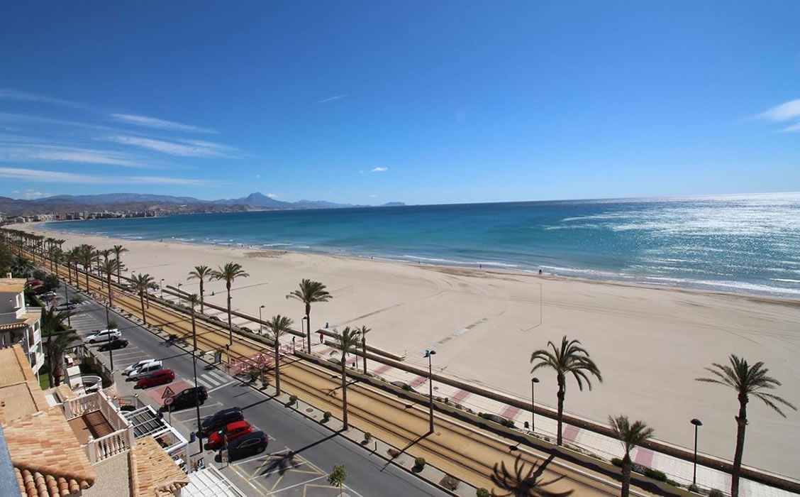 Oasis en la playa de Muchavista: El Campello creará un microclima con vegetación para soportar el calor