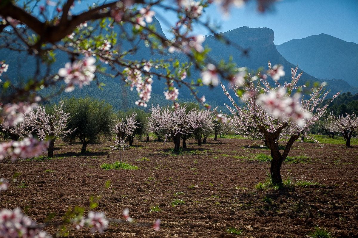  - Foto: TURISMO REGIÓN