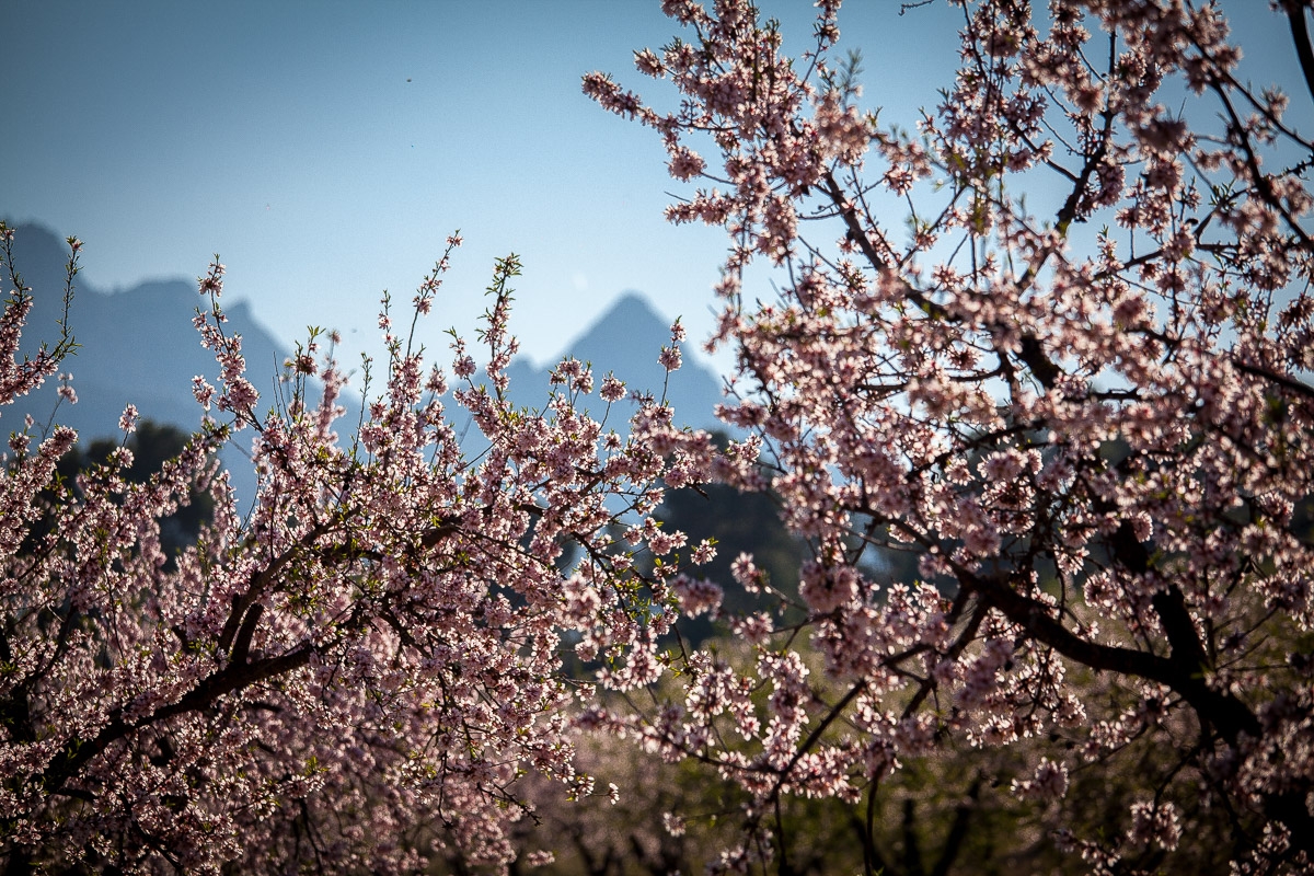  - Foto: TURISMO REGIÓN