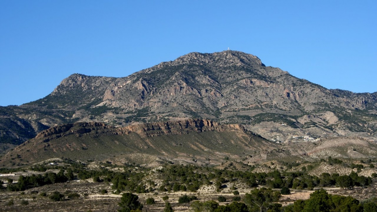 La Sierra de la Pila de la Región se blinda contra las plagas: un millón de euros para proteger el gran pulmón del noreste