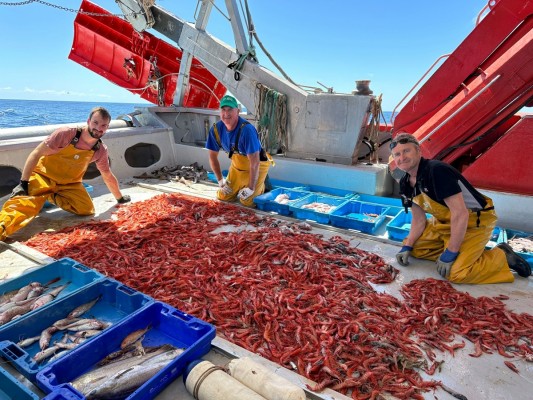 El incierto futuro de la pesca de arrastre 