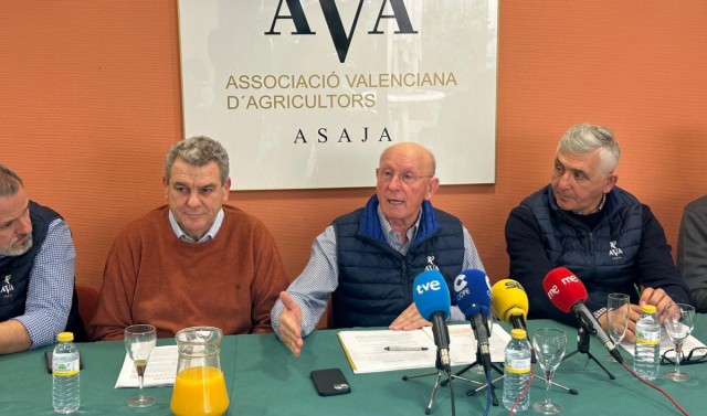 Balance de AVA-Asaja en 2025: el clima provoca la mitad de los 120 millones de pérdidas en el campo en Castellón