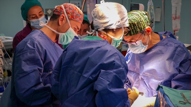 España lidera la donación de órganos en 2023, año histórico para los trasplantes en todo el mundo