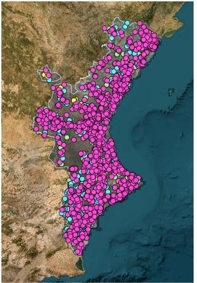  DICs al País Valencià. 