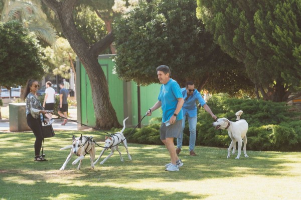 Canet invertirá 1,7 millones en su nuevo ‘pulmón verde’, un parque de 30.000 metros cuadrados