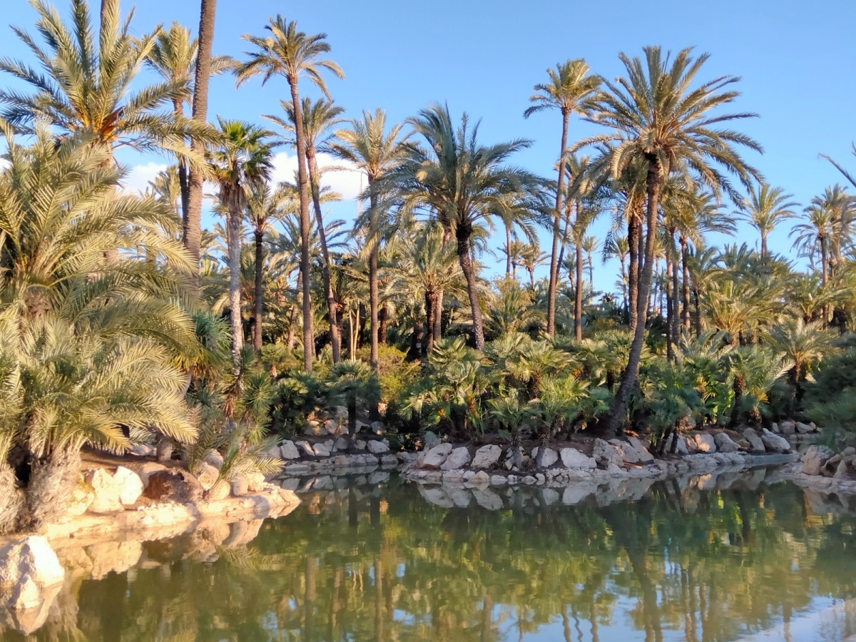 El parque de El Palmeral, tras su renovación.