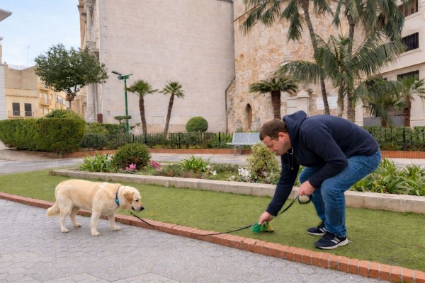 El censo canino de ADN de Burriana: tres empresas optan a prestar el servicio para mejorar la protección
