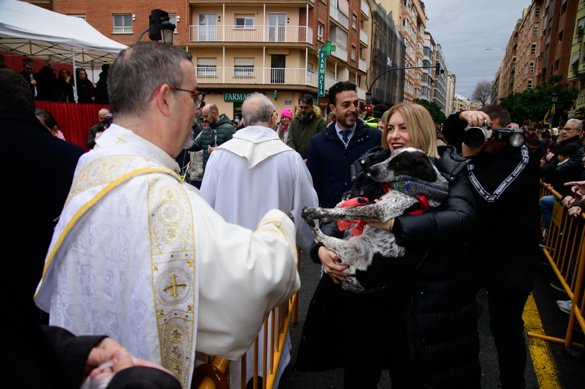 La tradicional bendición y desfile de animales por Sant Antoni en València 