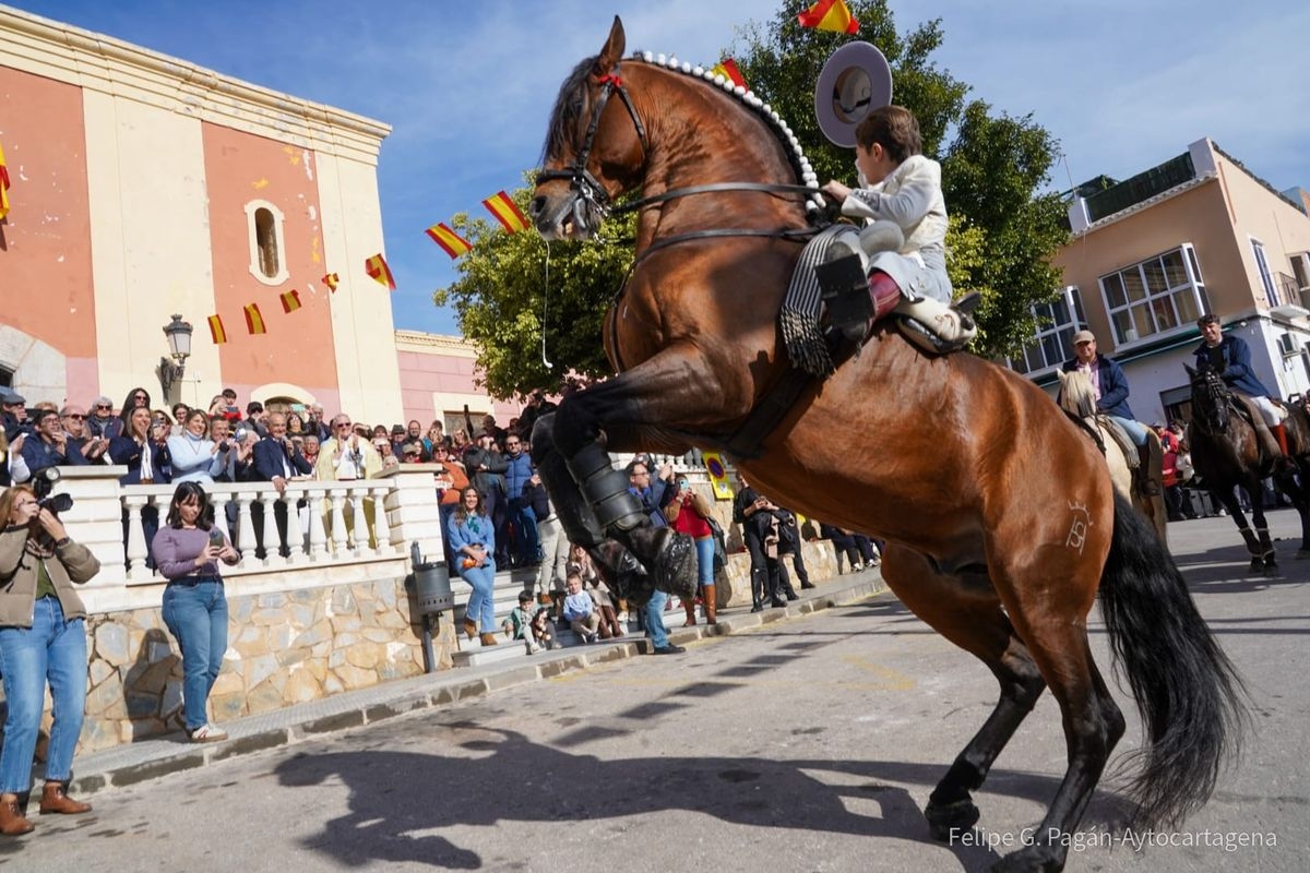  - Foto: AYUNTAMIENTO DE CARTAGENA
