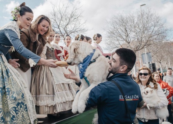 Castellón celebra Sant Antoni con la procesión, la bendición de animales, el reparto de rotllets y la entrega de cintas conmemorativas