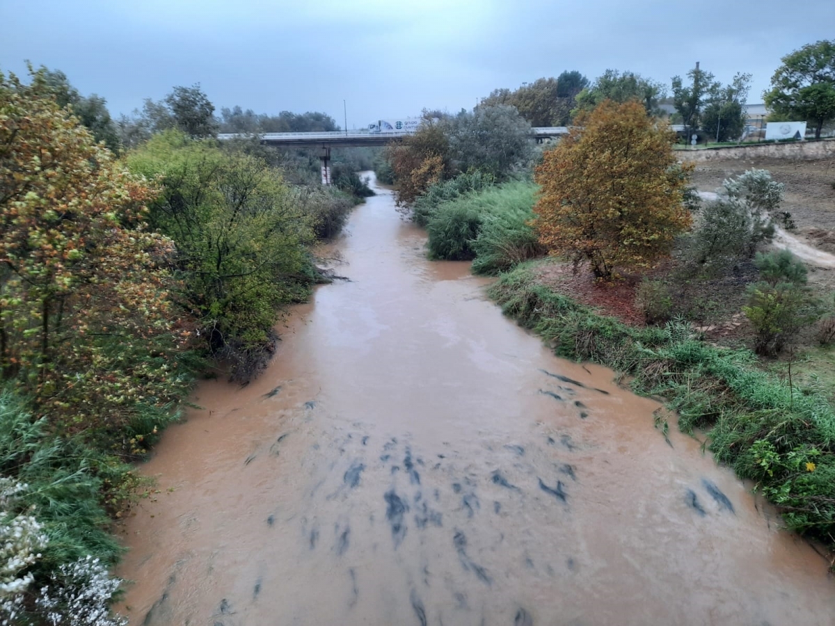 La CHJ estudiará una mota de protección en el barrio de Tulell para reducir el riesgo de inundaciones en Alzira