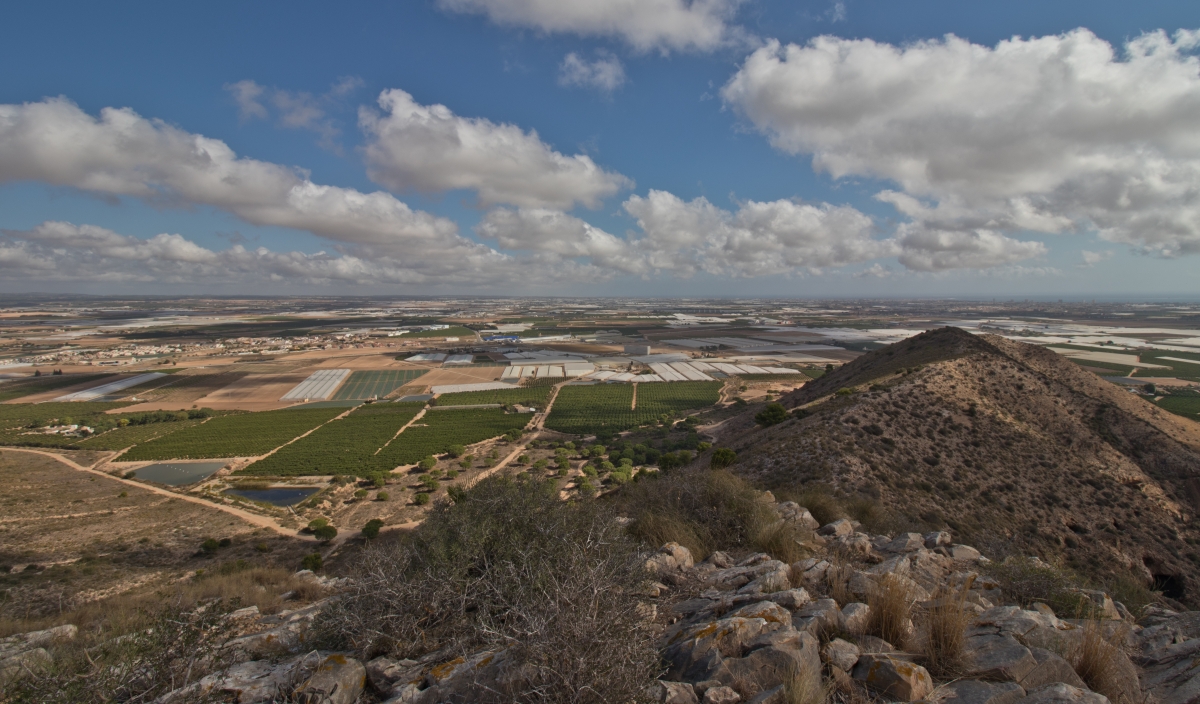 Del palmito protegido al huerto solar: la transformación que alarma a los vecinos de la cuenca del Mar Menor