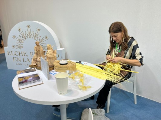 Elche solicita el registro de la palma Blanca como indicación geográfica artesanal de la Unión Europea
