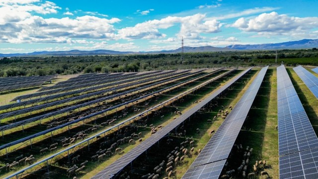 Elche cuenta con 26 plantas fotovoltaicas con permiso autonómico: 10 de ellas tienen licencia municipal