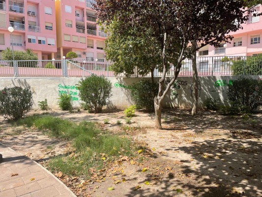 El PSOE de Elche reclama a Ruz más atención al mantenimiento de plazas y jardines de los barrios