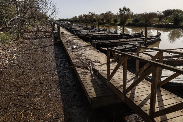 AE-Agró lleva una propuesta didáctica a IES de la zona Dana con material para visibilizar la situación de l'Albufera