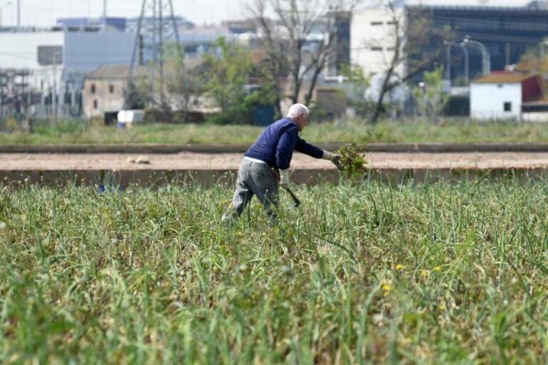 Agricultura lanza la segunda edición de 'StartBEC' para empresas emergentes de bioeconomía agroalimentaria