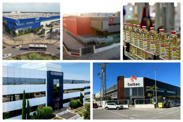 Los directivos externos triunfan entre las empresas murcianas: cinco compañías fichan un nuevo CEO