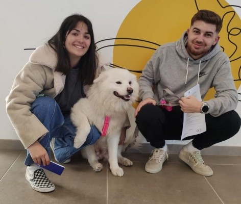 Un total de 196 animales del Refugio Municipal de Paterna han encontrado hogar durante 2025