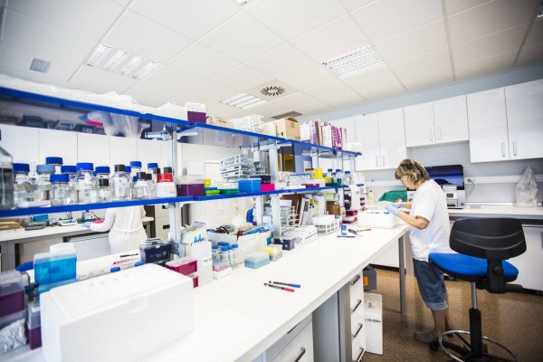 La Comunitat termina con la situación precaria de los investigadores de las fundaciones sanitarias