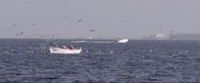 Los cines Centrofama de Murcia proyectan 'El mar no cesa', el documental sobre el Mar Menor que 