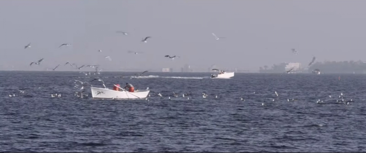 Los cines Centrofama de Murcia proyectan 'El mar no cesa', el documental sobre el Mar Menor que 