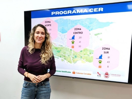 Elda recibe la mayor subvención estatal para gestionar colonias felinas urbanas