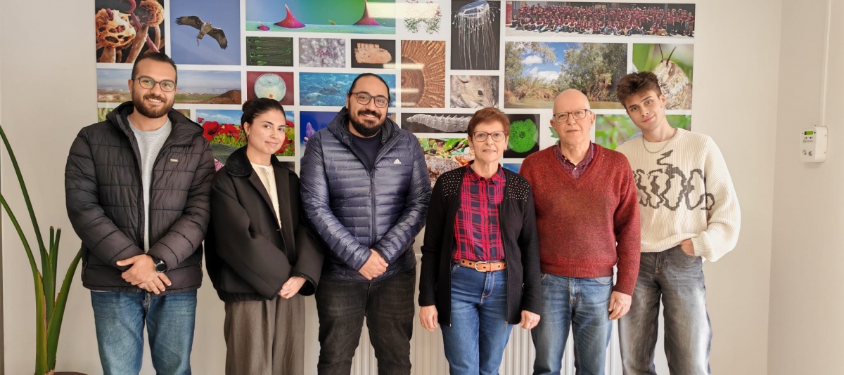 Equipo de la UMU que ha descubierto una especie de musgo - Foto: UMU Equipo de la UMU que ha descubierto una especie de musgo