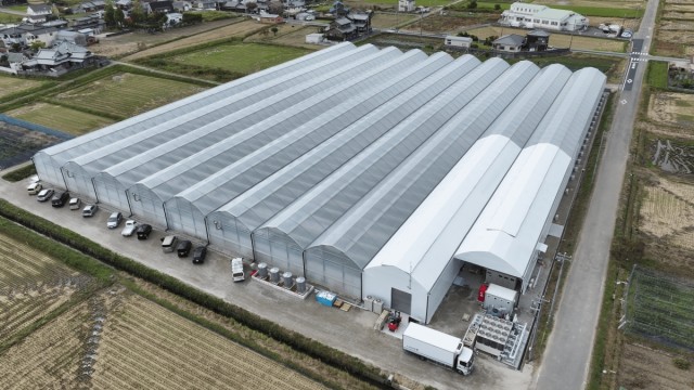 La tecnología agrícola de la Región de Murcia roza los 100 millones de euros en exportaciones