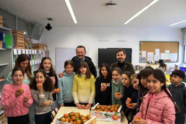 Vila-real reparte 2.500 kg de fruta en la campaña 'Taronges del peu poble a l'escola 25-26'