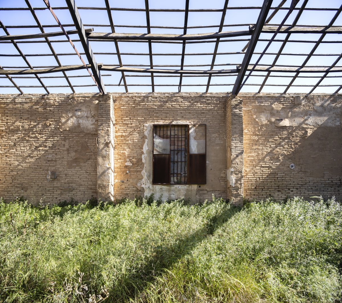 Los principales polos creativos de València nacen en entornos agrícolas: adiós al barrio creativo 