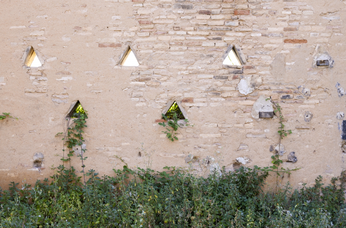 Futuro espacio El Clavell