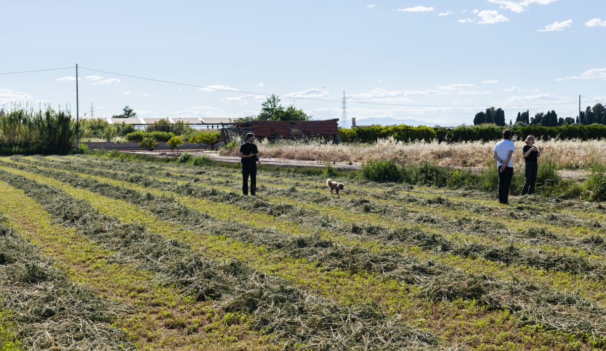 Futuro espacio El Clavell